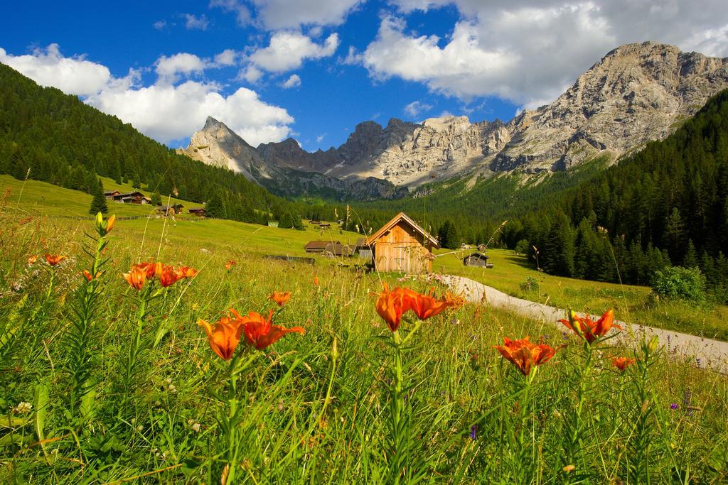 Relais San Giusto Otel Campitello di Fassa Dış mekan fotoğraf